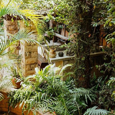 Terra Casa Guesthouse Рюстенбург Экстерьер фото