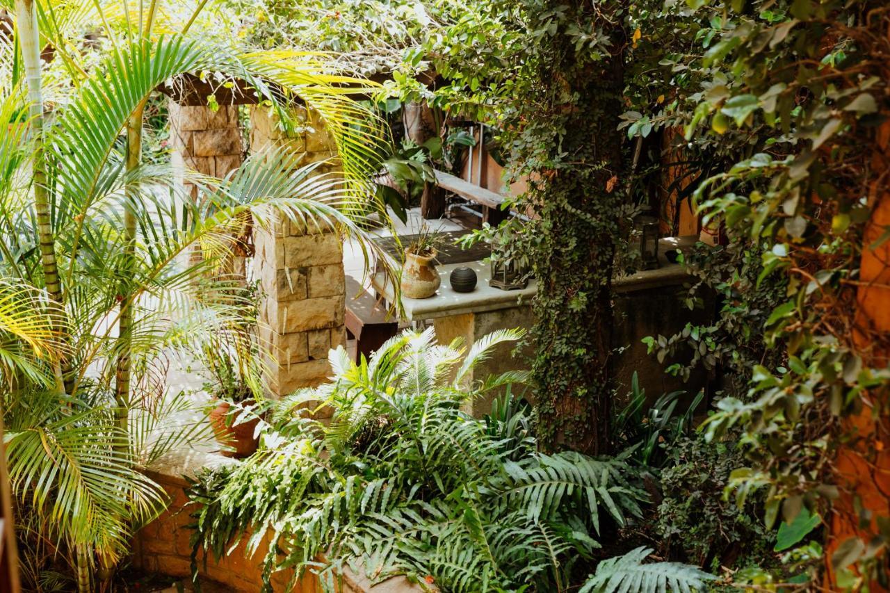 Terra Casa Guesthouse Рюстенбург Экстерьер фото