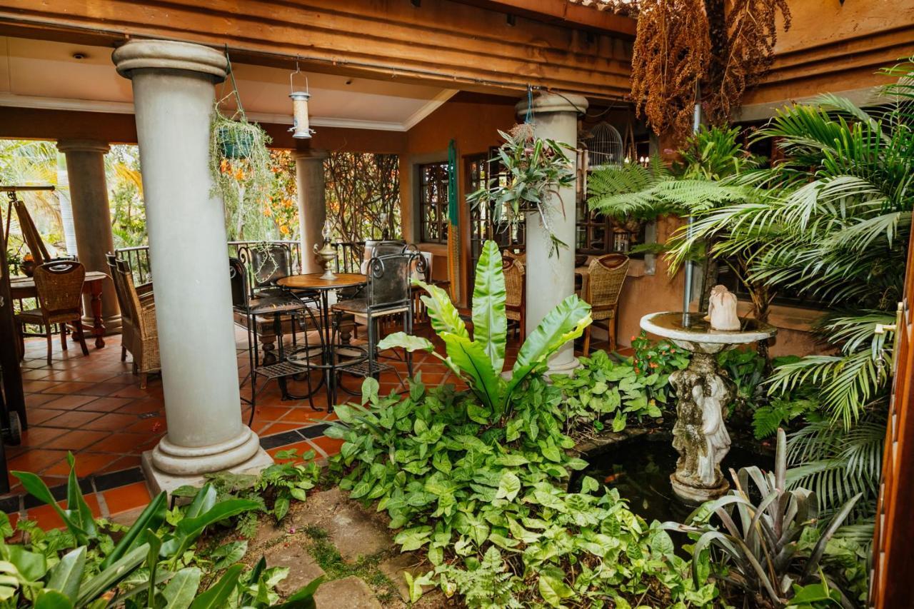 Terra Casa Guesthouse Рюстенбург Экстерьер фото